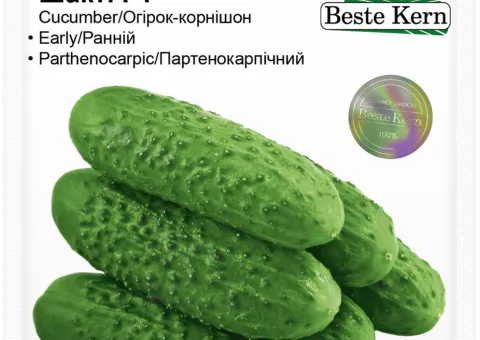 Огірок Шакті F1 Beste Kern 10шт.