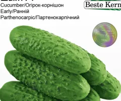 Огірок Шакті F1 Beste Kern 10шт.