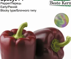 Перець Брабус F1 Beste Kern 5шт.