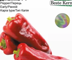 Перець Дінаміка F1 Beste Kern