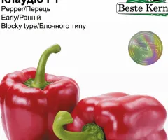 Перець Клаудіо F1 Beste Kern 10шт.