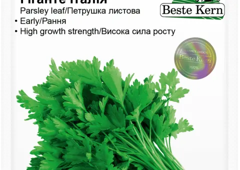 Parsley leaf Gigante Italia Beste Kern 5g.