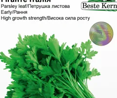 Петрушка листовая Гиганте Италия Beste Kern 5г.