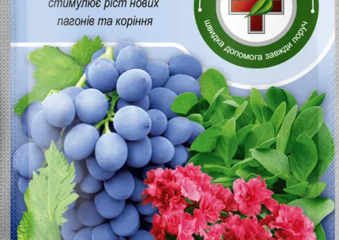 Регулятор росту Бурштинова кислота - 5 г