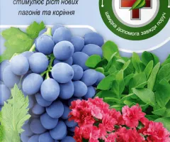 Регулятор росту Бурштинова кислота - 5 г