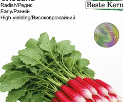 Редис Слована Beste Kern 3г.