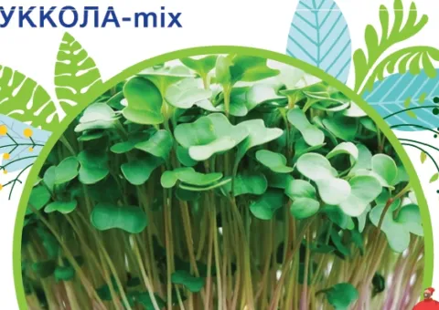 Руккола - микс 10 г. GLSeeds