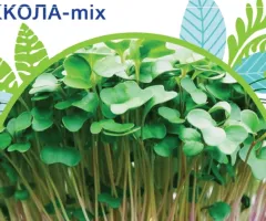 Руккола - микс 10 г. GLSeeds