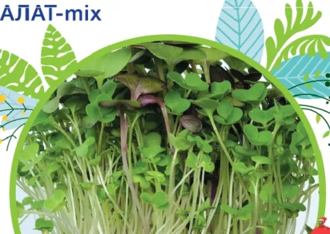 Салат - микс 10г. GLSeeds