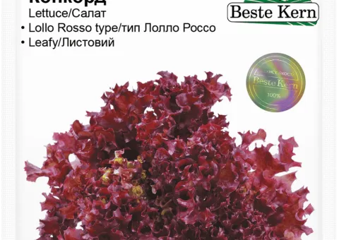 Салат Конкорд Beste Kern 30 шт.