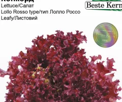 Салат Конкорд Beste Kern 30 шт.