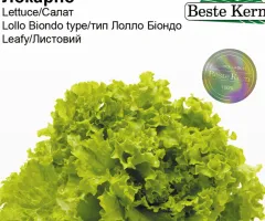 Салат Локарно Beste Kern 30 шт.