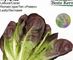 Салат Мунред Beste Kern 10шт.
