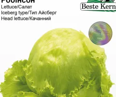 Салат Робинсон Beste Kern 30 шт.