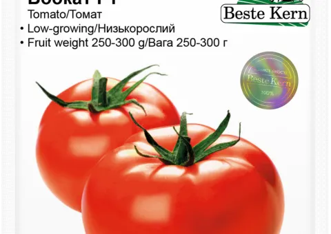 Tomato Bobcat F1 Beste Kern 10 pcs