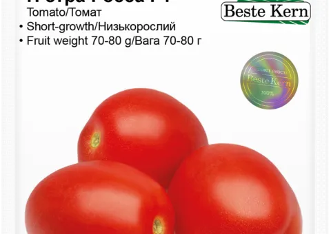 Tomato Pietra Rossa Beste Kern F1