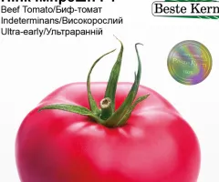 Томат Пінк Імпрешн F1 Beste Kern 10 шт