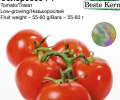 Tomato Solerosso F1 Beste Kern 20 pcs