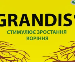 Укорінювач Грандіс Grandis® - 50 г