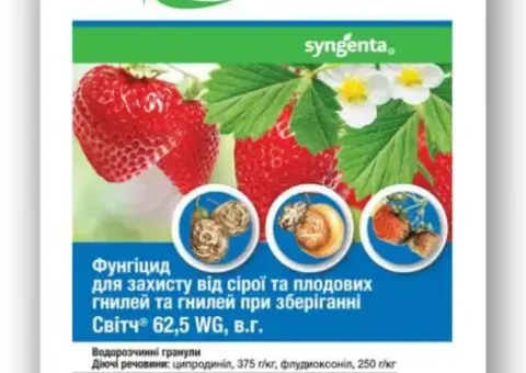 Фунгіцид Світч 10 г Syngenta