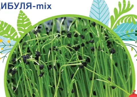 Лук - микс 5 г. GLSeeds