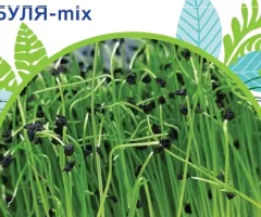 Лук - микс 5 г. GLSeeds