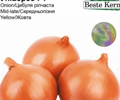 Лук Универсо F1 Beste Kern 1 г.