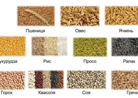 Кормоподрібнювач ДТЗ КР-30А з автоматичною подачею - 2/10