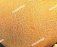 Дыня Колгоспниця 2 г, Семена овощей, 20 шт.