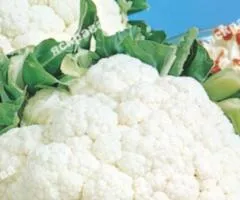 Капуста цветная Снежный шар 0.3 г, Семена овощей, 20 шт.