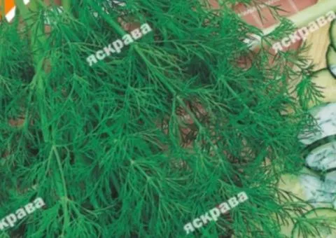 Dill Kharkiv 5 g, Vegetable seeds, 20 pcs.