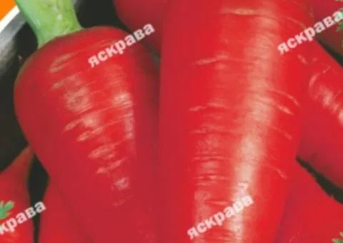 Carrot Yaskrava 3 g, Vegetable Seeds, 20 pcs