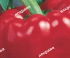 Перец Анастасия 0.3 г, Семена овощей, 20 шт.