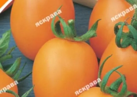 Tomato De-Barao Orange 0.1 g, Vegetable Seeds, 20 pcs