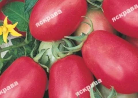 Tomato De-Barao pink 0.1 g, Vegetable seeds, 20 pcs