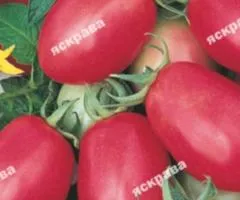 Томат Де-Барао розовый 0.1 г, Семена овощей, 20 шт.