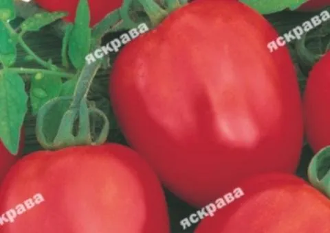 Tomato De Barao red 0.1 g, Vegetable seeds, 20 pcs.