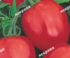 Томат Де-Барао красный 0.1 г, Семена овощей, 20 шт.