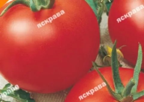 Tomato Donetsk Productive 0.2 g, Vegetable Seeds, 20 pcs