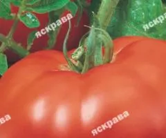 Томат Красный гигант 0.1 г, Семена овощей, 20 шт.