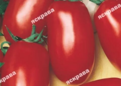 Tomato Red Hunter 0.1 g, Vegetable Seeds, 20 pcs