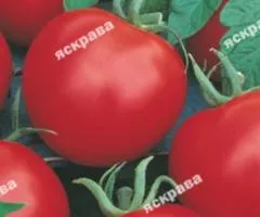 Томат Ляна 0.2 г, Семена овощей, 20 шт.