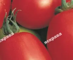 Томат Новичок 0.1 г, Семена овощей, 20 шт.
