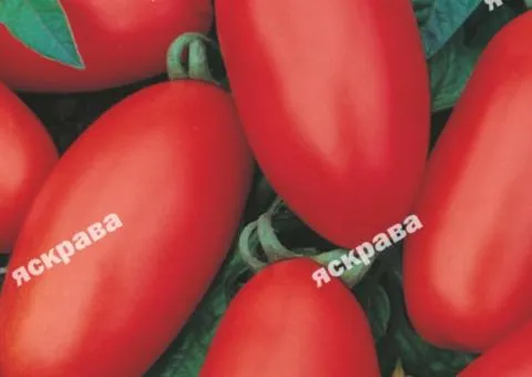 Томат Сливка гiгант 0.1 г, Насіння овочів, 20 шт.