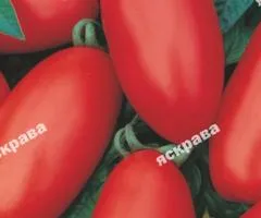 Томат Сливка гигант 0.1 г, Семена овощей, 20 шт.
