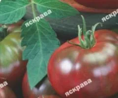 Томат Шедевр 0.1 г, Семена овощей, 20 шт.