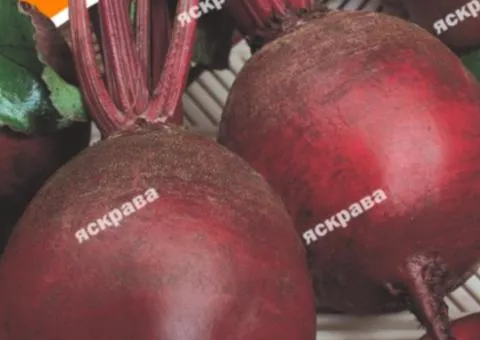 Свекла столовая Красный Шар 20 г, Семена овощей, 10 шт.