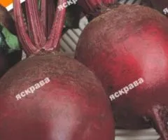 Свекла столовая Красный Шар 20 г, Семена овощей, 10 шт.