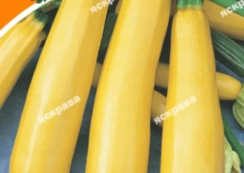 Кабачок Золотинка 20 г, Семена овощей, 10 шт.