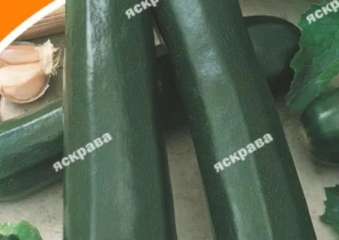 Кабачок Скворушка (цуккини) 20 г, Семена овощей, 10 шт.